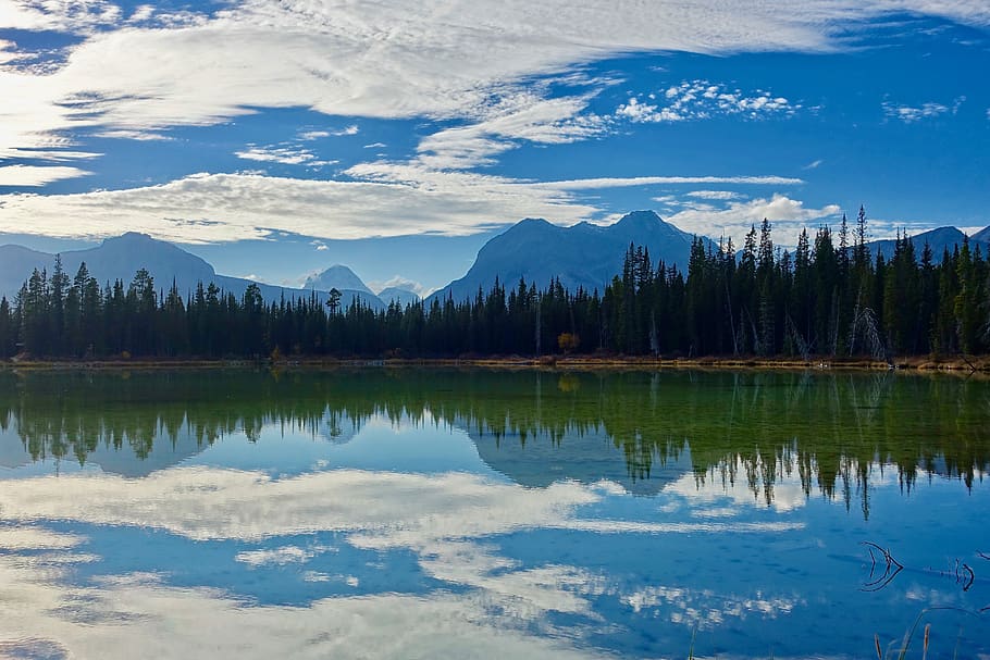 Body of Water Near of Pine Trees, landscape, mountain, nature HD wallpaper