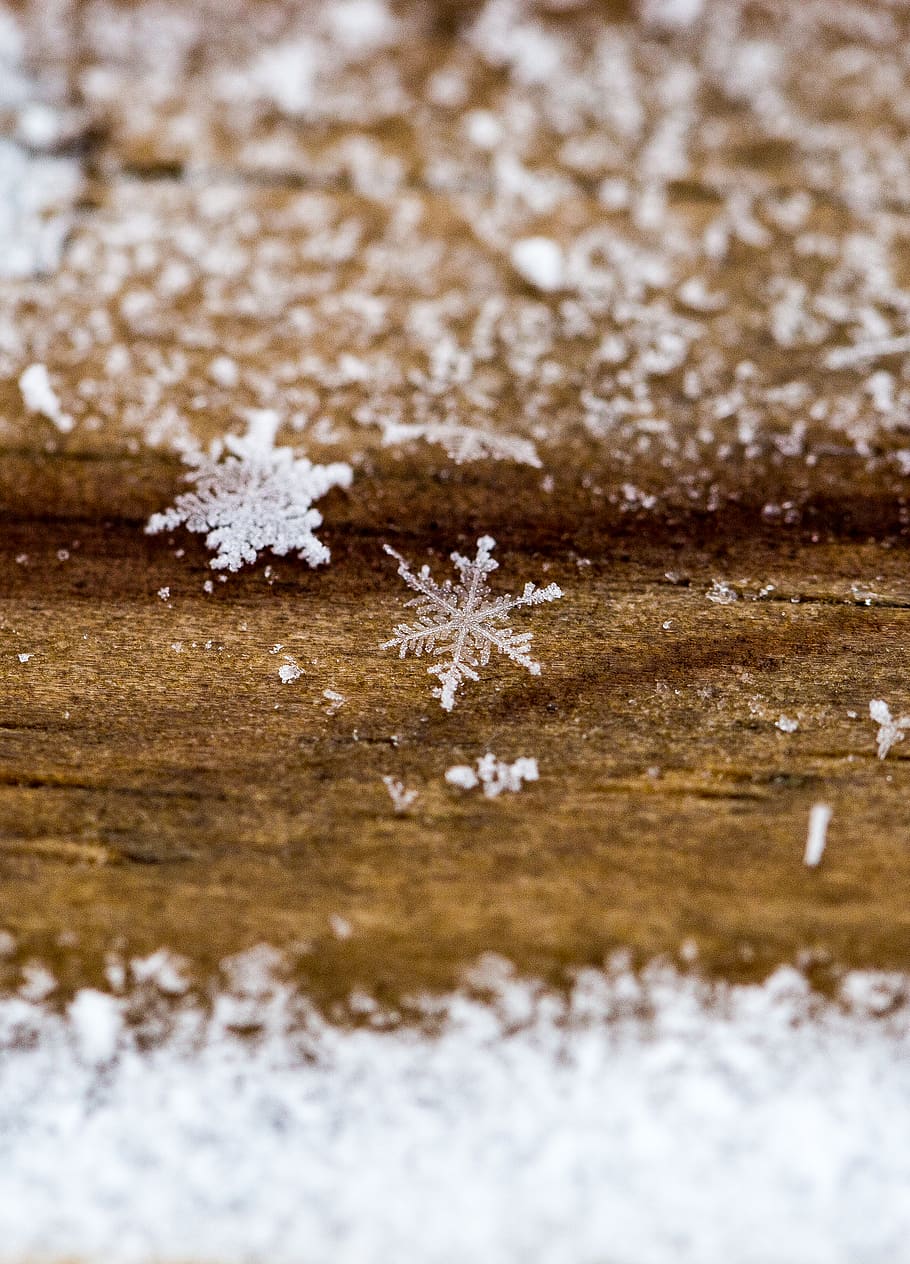 snowflakes on ground, winter, cold temperature, nature, close-up HD wallpaper