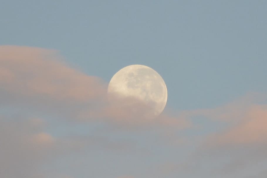 full moon, clouds, twilight, nature, sky, low angle view, beauty in nature HD wallpaper