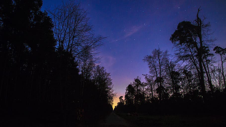 germany, bürstadt, clouds, lights, trees, road, stars, sky HD wallpaper