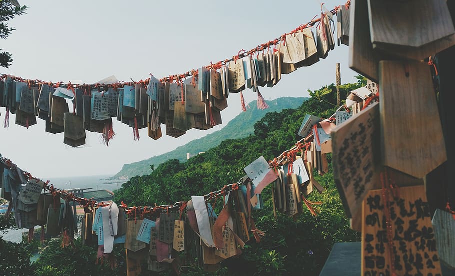 hanged signed boars, apparel, clothing, undershirt, roof, market HD wallpaper