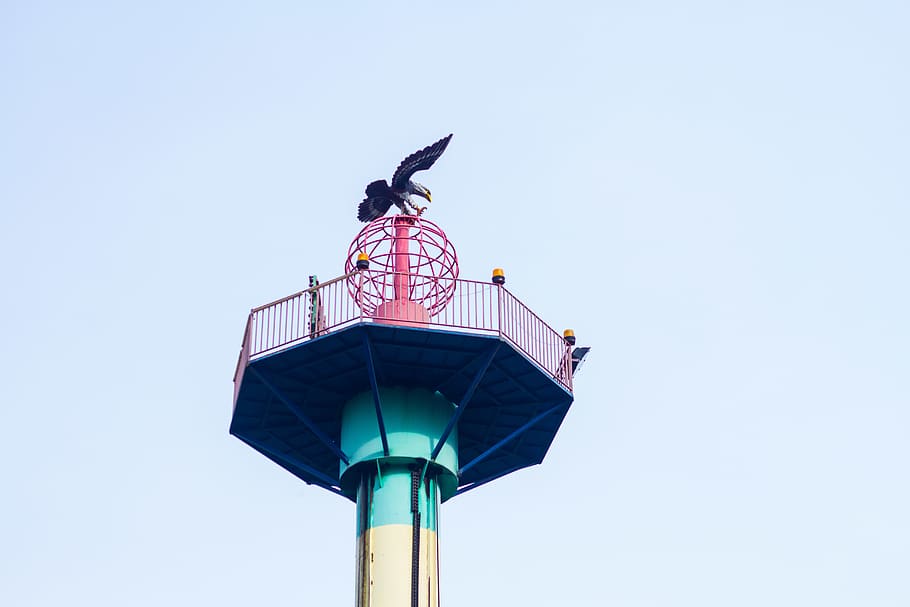 architecture, tower, building, lighthouse, beacon, bird, animal HD wallpaper