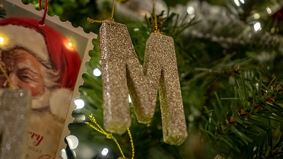 silver M Christmas decor, tree, plant, person, human, ornament HD wallpaper