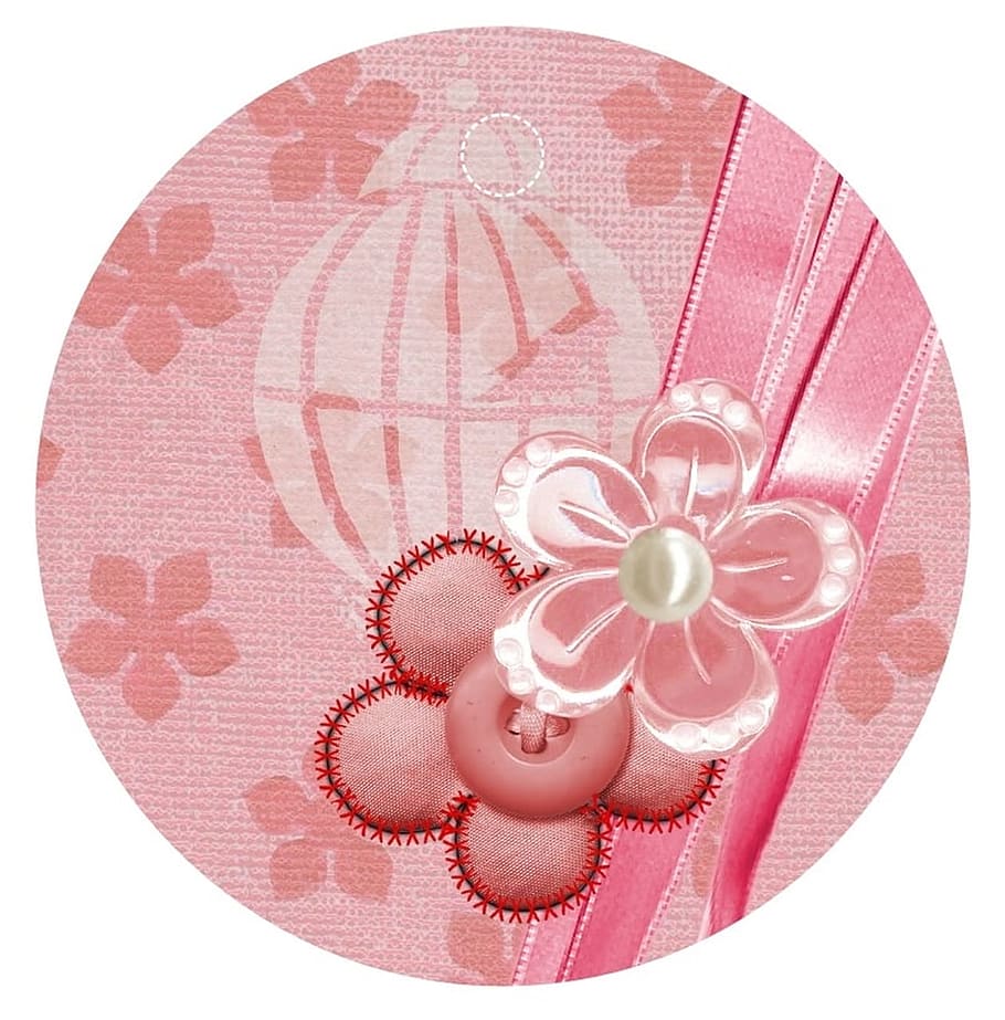 texture, flower, nature, graphics, pink color, white background HD wallpaper