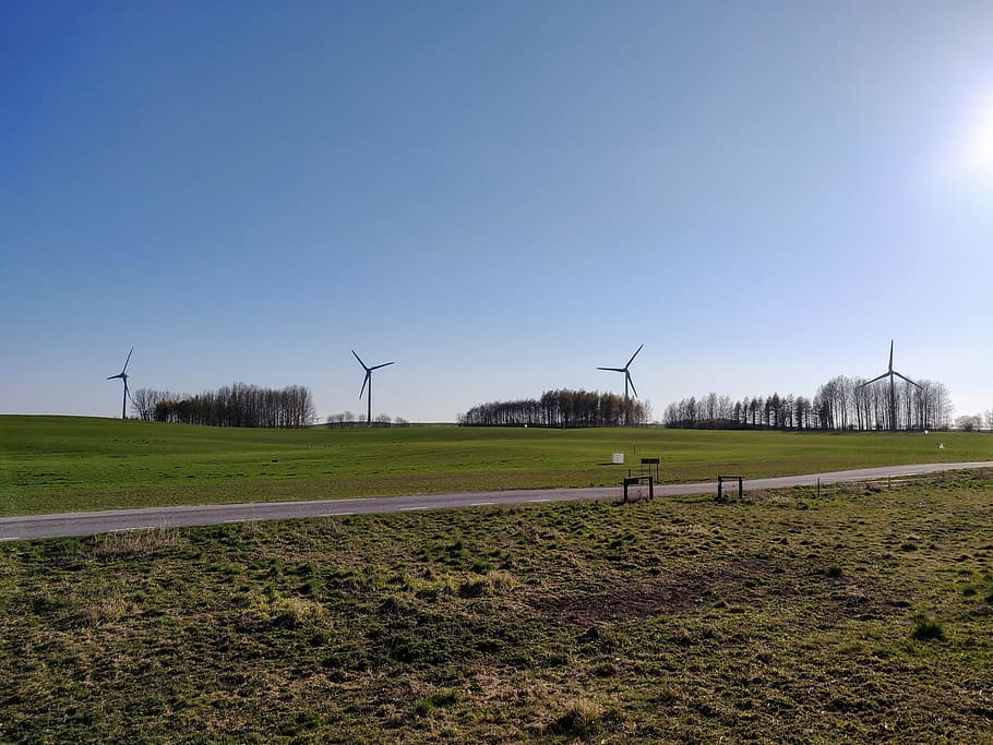 plant, grass, engine, machine, motor, turbine, field, outdoors