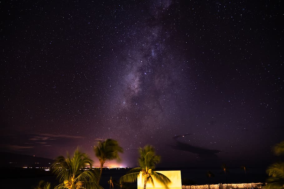 three green coconut trees, nature, outdoors, night, space, light HD wallpaper