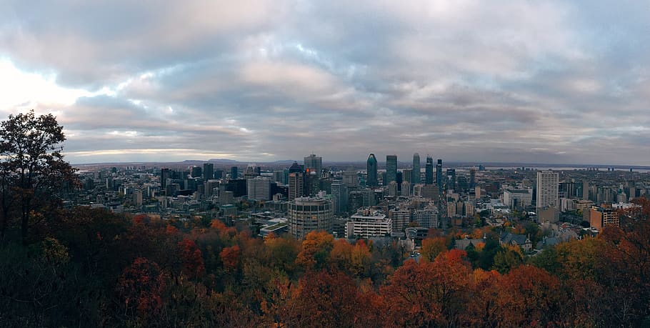 canada, montreal, mount royal, building exterior, city, architecture, HD wallpaper