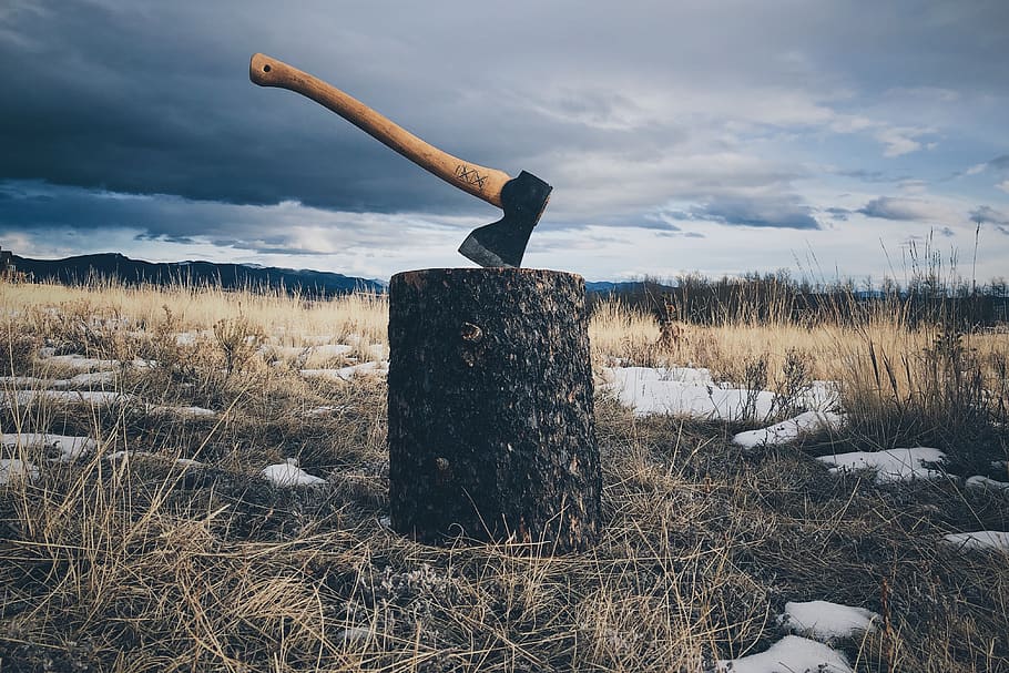 brown handled axe on log, cloud - sky, field, nature, land, plant HD wallpaper