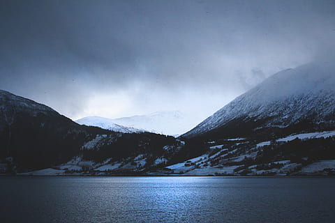 norway, forest, dark, shadow, wild, lake, snow, scandinavia HD wallpaper