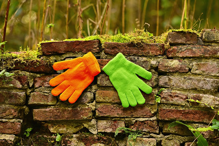 mitten, glove, hand, woolen, cold, warm, protection, winter wear HD wallpaper
