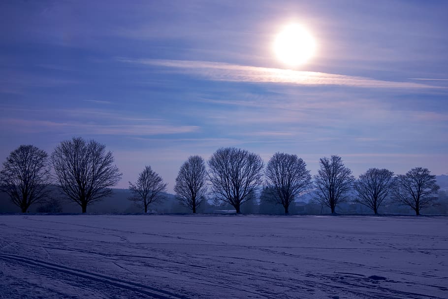 winter, landscape, sun, backlighting, nature, snow, wintry HD wallpaper