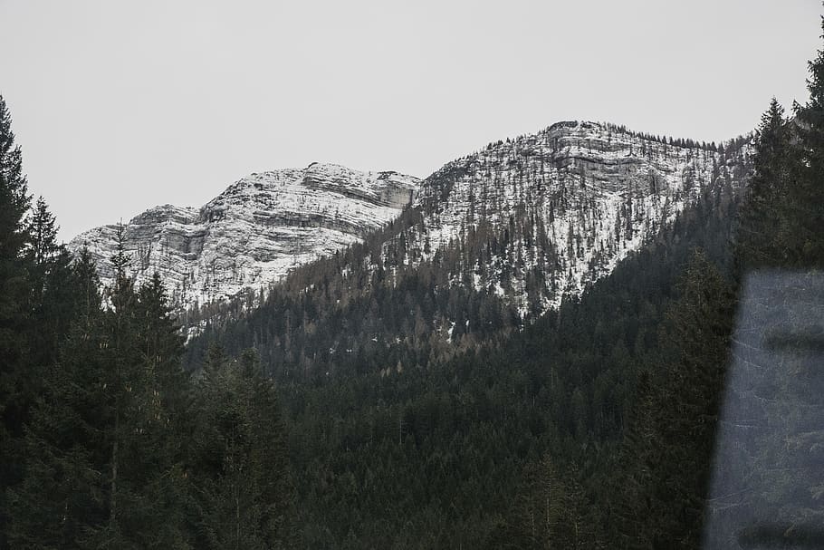 Snow Mountain, adventure, cold, conifer, daylight, evergreen HD wallpaper