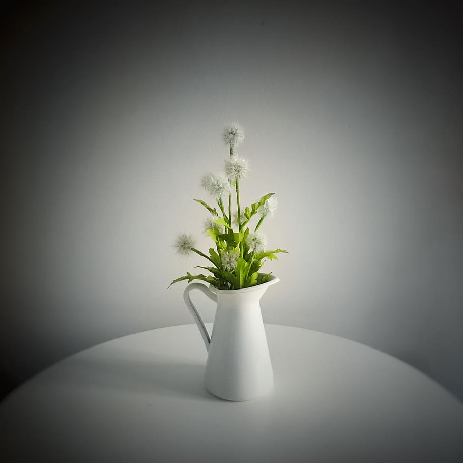 italy, santarcangelo di romagna, flowers, interior, design HD wallpaper