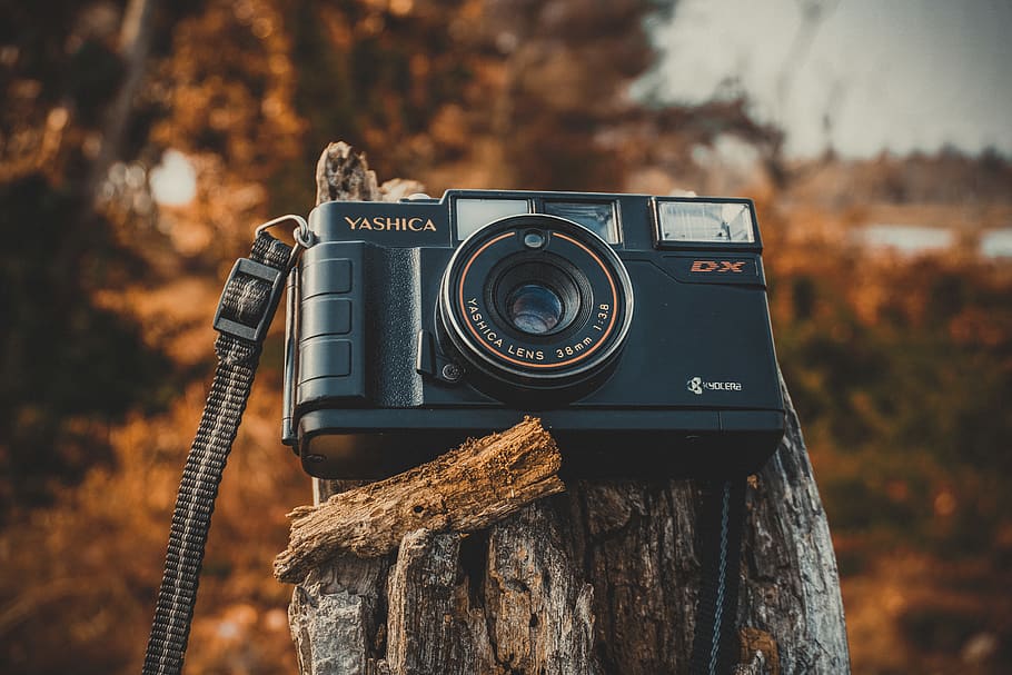 Shallow Focus Photography of Black Yashica Film Camera during Dawn HD wallpaper