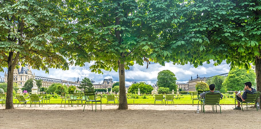 france, paris, tuileries garden, gardens, green, landscape