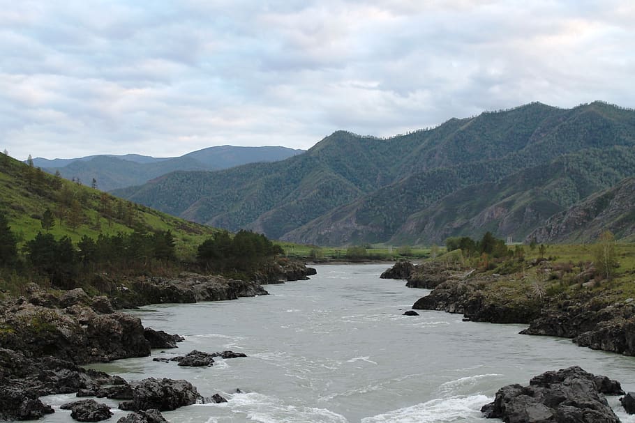 altai, mountains, river, katun, landscape, sky, summer, siberia HD wallpaper
