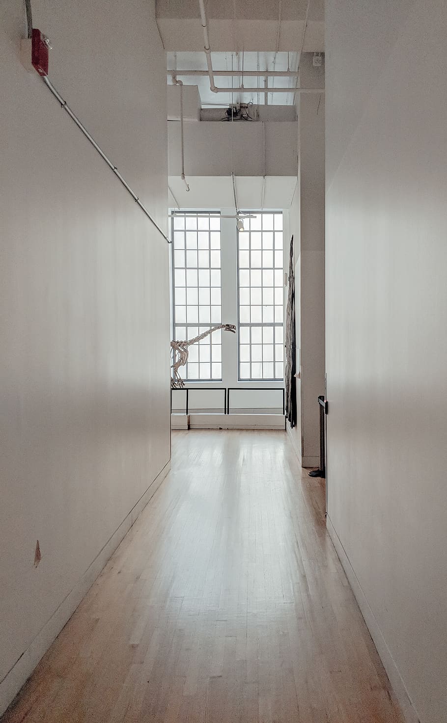 white concrete wall indoor, musem, interior, hallway, gallery, HD wallpaper