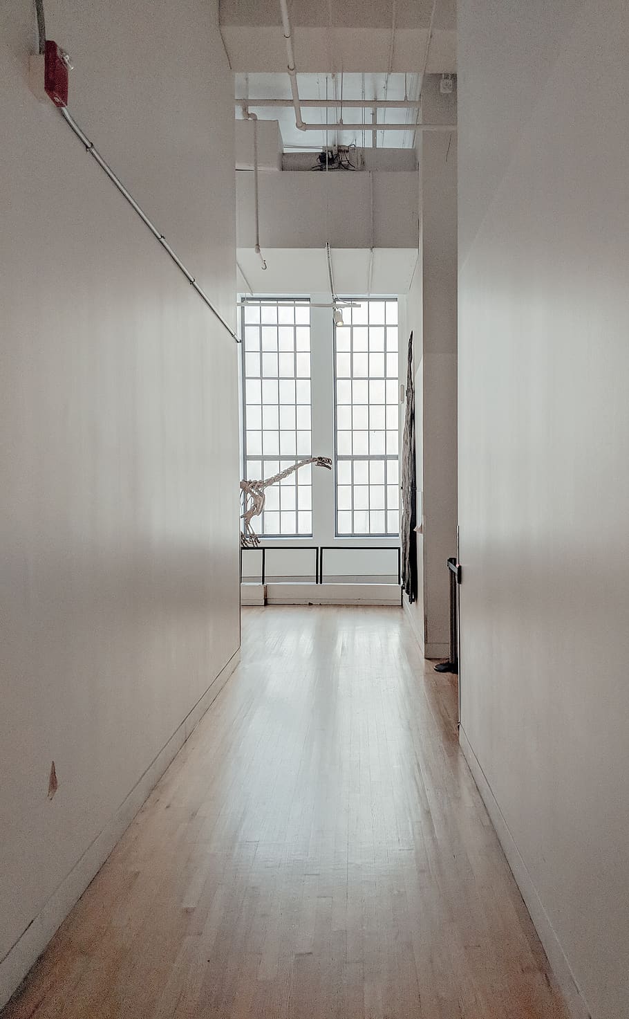white concrete wall indoor, musem, interior, hallway, gallery HD wallpaper