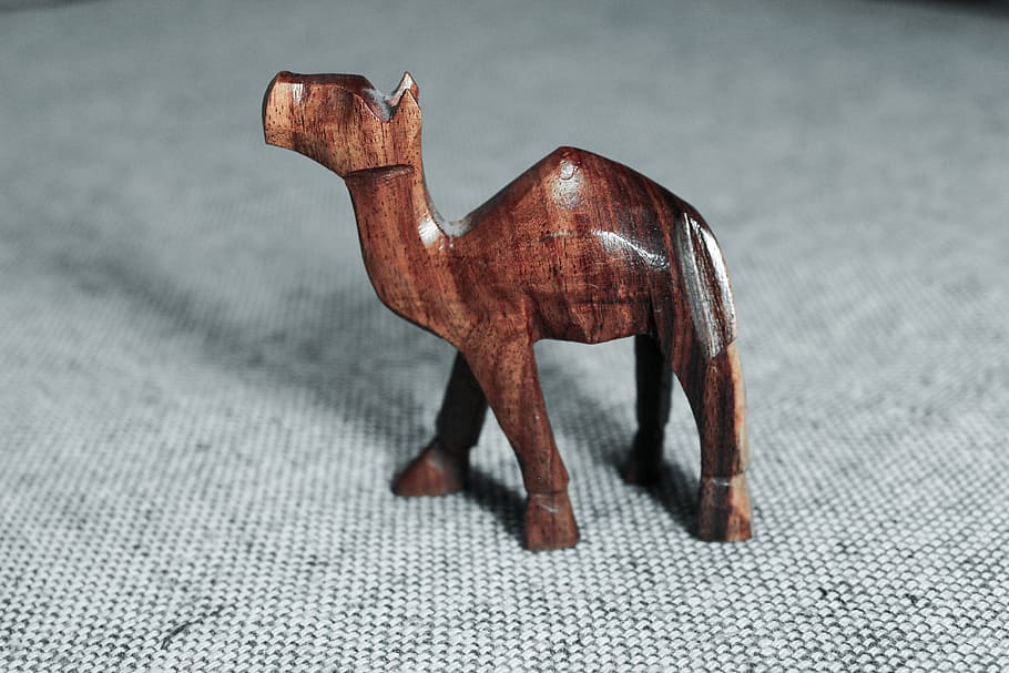 camel, background, art, item, brown, eypt, animal representation HD wallpaper