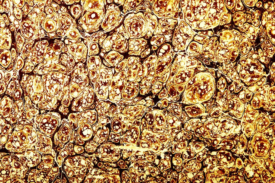 con2011, background, damaged, grunge, paper, wallpaper, full frame HD wallpaper