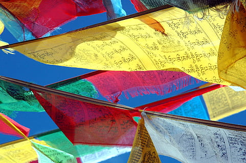 prayer flags, tibet, budism, himalayan, multi colored, no people HD wallpaper