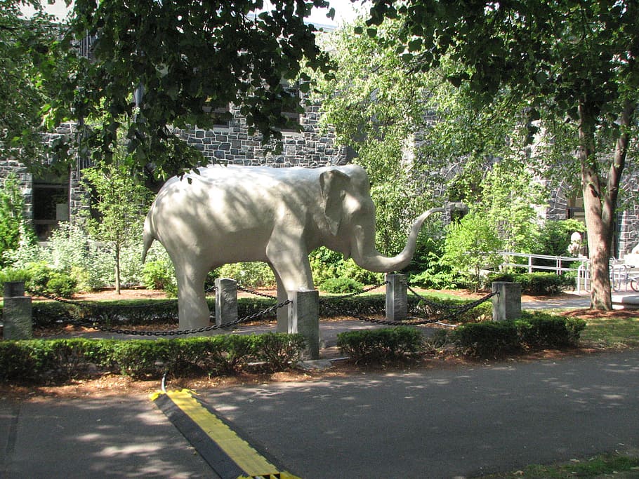 elephant, trees, sculpture, statue, life-size, plant, animal themes HD wallpaper