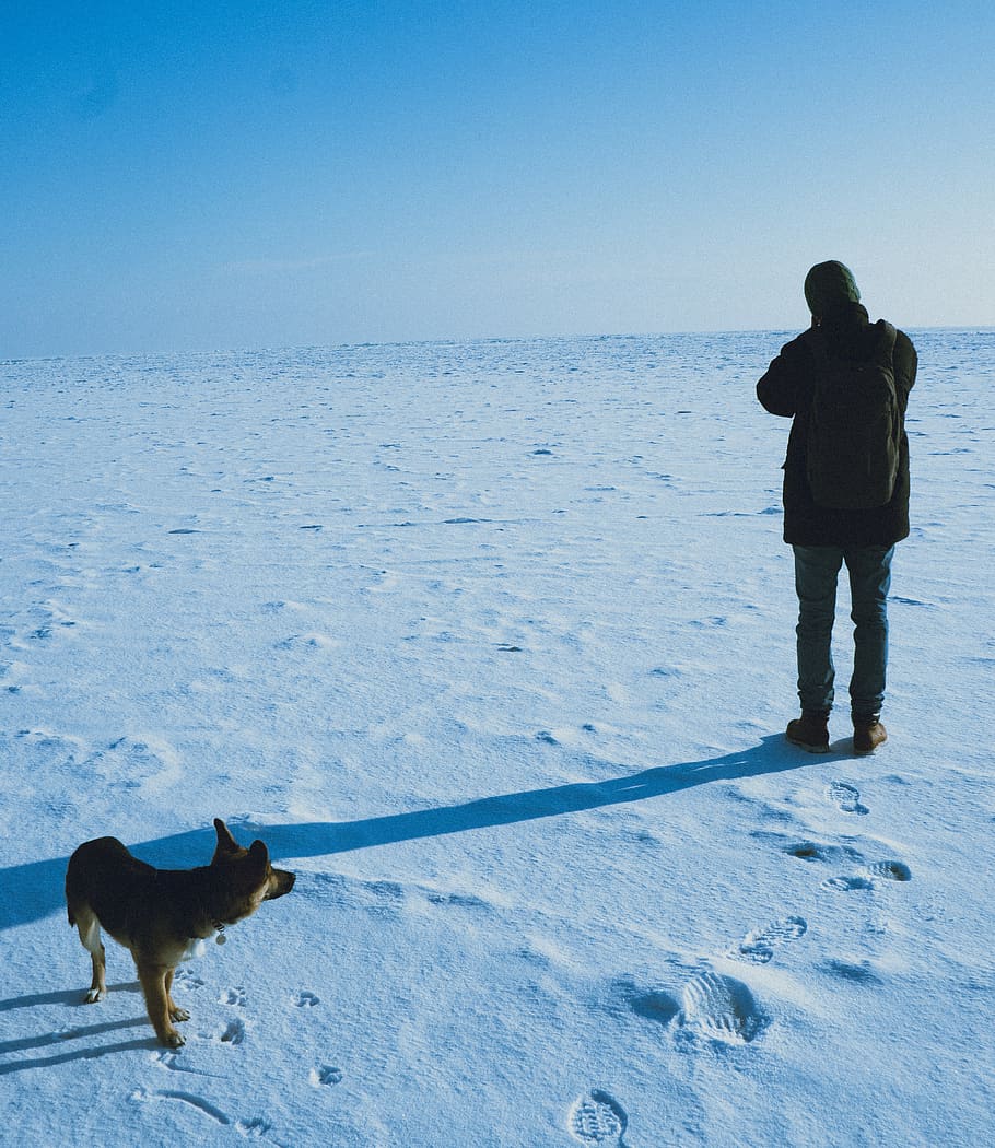Person Standing Beside Dog, animal, cold, daylight, daytime, environment HD wallpaper