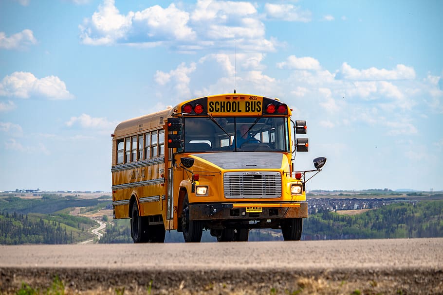 school bus on pathway, transportation, sky, mode of transportation HD wallpaper