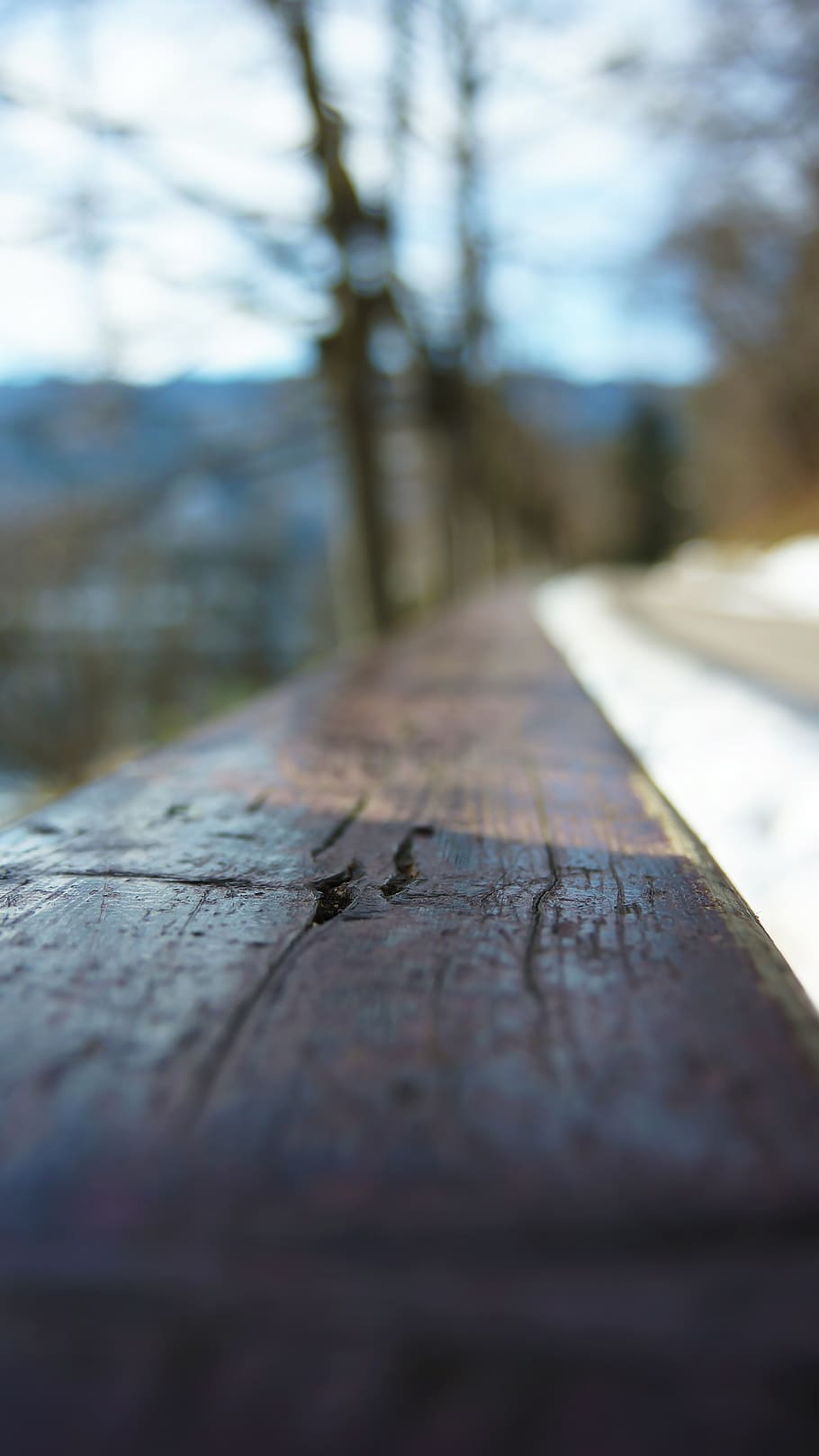 slovenia, bled, tree, selective focus, wood - material, nature HD wallpaper