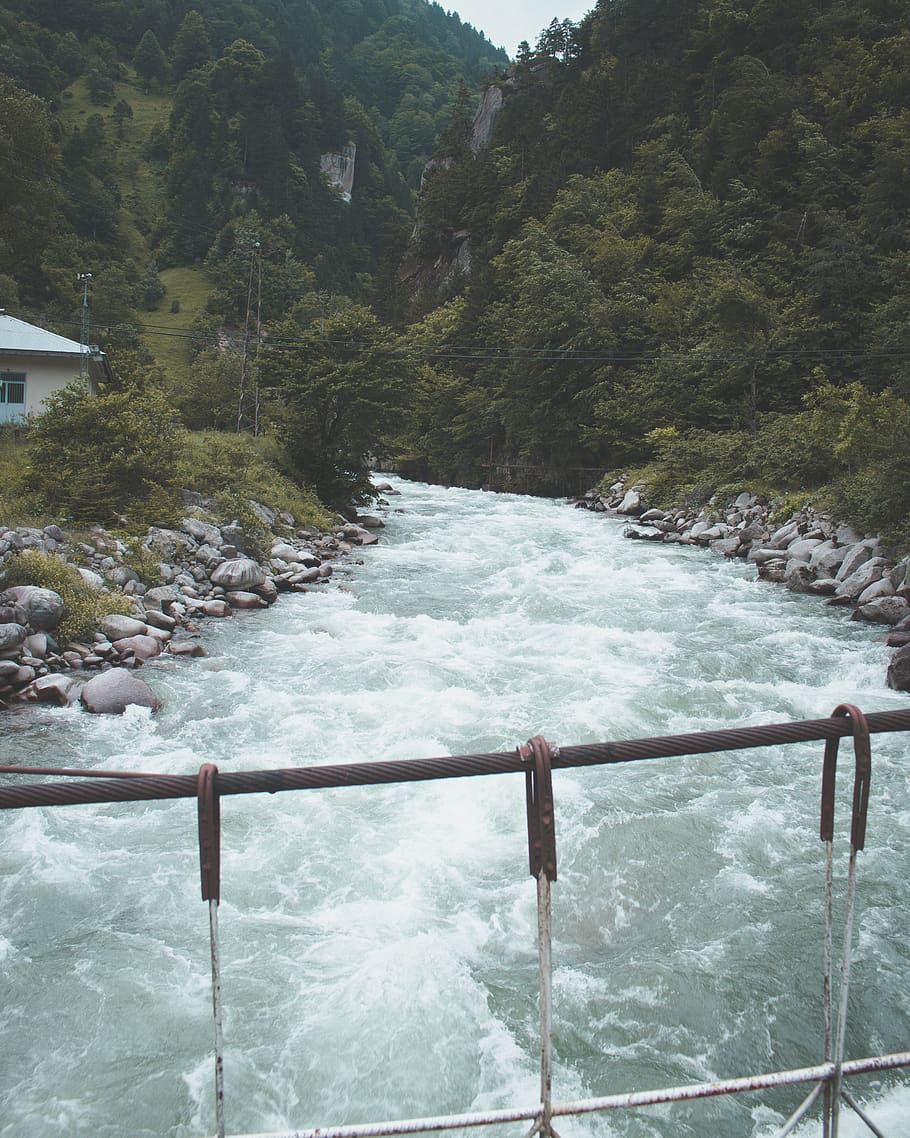 River Surrounded of Trees, bridge, daylight, environment, flpw HD wallpaper