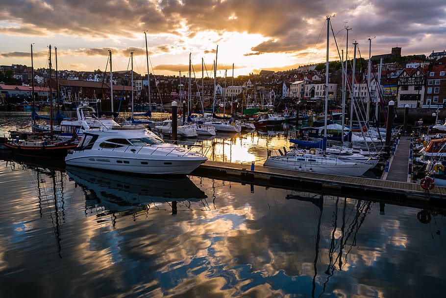 Speedboats on Body of Water, coast, harbor, harbour, marina, ocean HD wallpaper