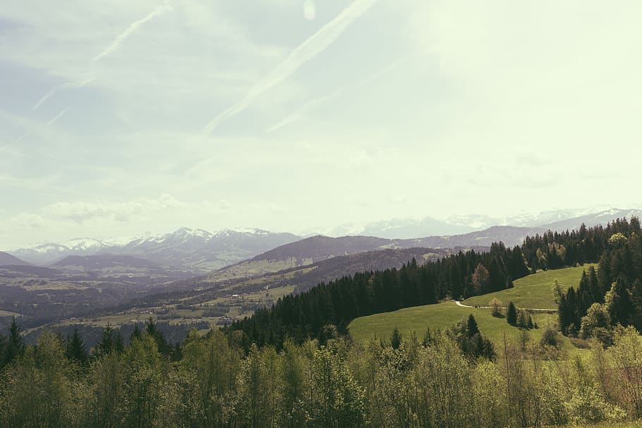 austria, bregenz, pfänder bergstation, peak, snow, forest HD wallpaper