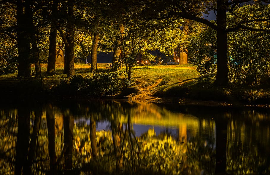 Lake Beside Forest Photography, grass, landscape, lights, night HD wallpaper