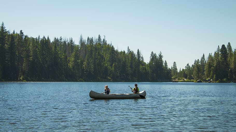 two persons on canoe during daytime, tree, nautical vessel, water HD wallpaper