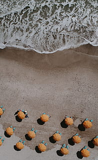 yellow umbrellas on shore, united states, cocoa beach, 218 pulsipher ave HD wallpaper