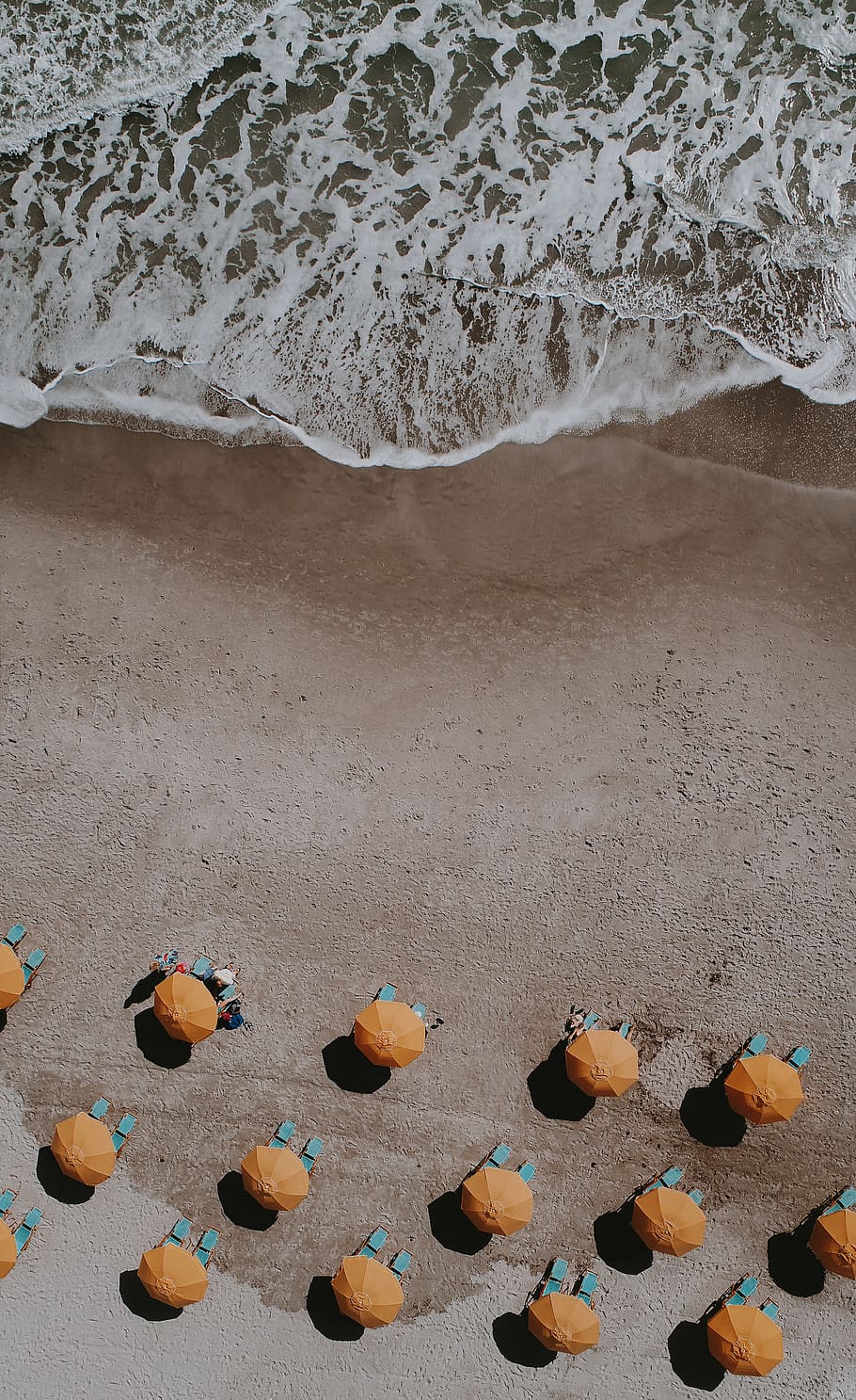yellow umbrellas on shore, united states, cocoa beach, 218 pulsipher ave HD wallpaper