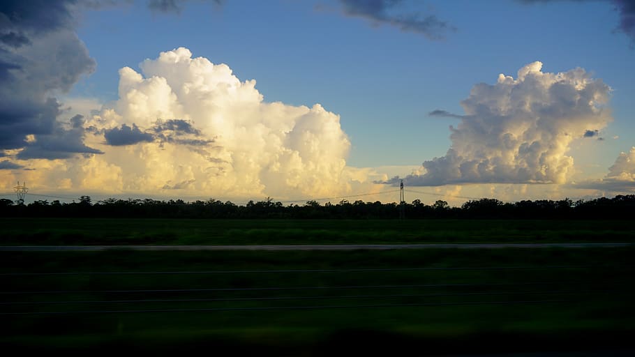 clouds, trees, driving, sky, cloud - sky, beauty in nature HD wallpaper