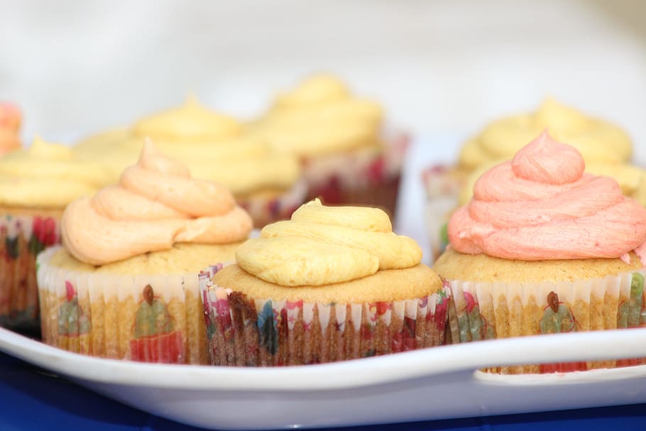 Photography of Cupcakes on Tray, baked, baking, blur, close-up HD wallpaper