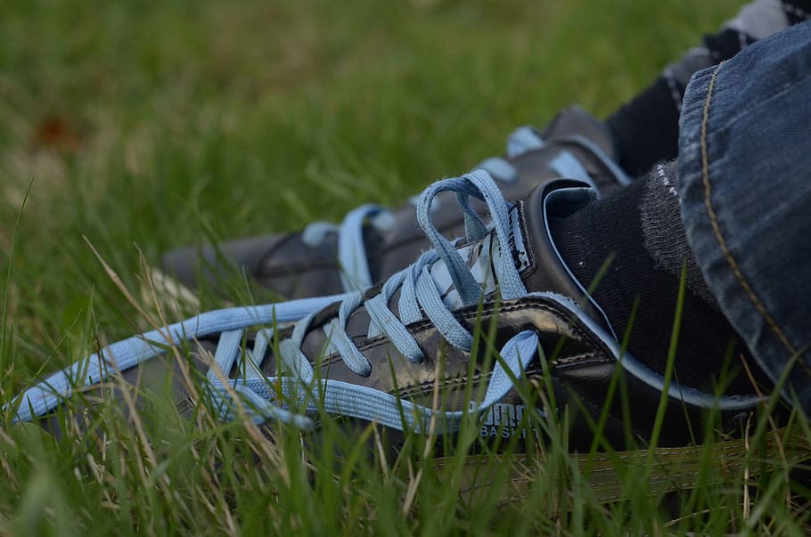 belgium, grass, plant, field, shoe, nature, selective focus HD wallpaper