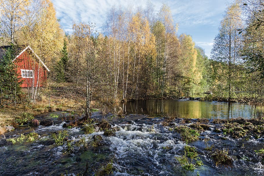 nature, tree, outdoors, landscape, autumn, river, countryside HD wallpaper