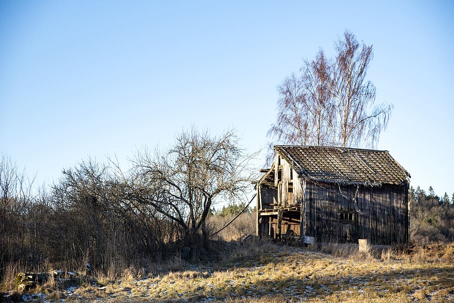 winter, hovel, old barn, tree, house, agricultural, building HD wallpaper