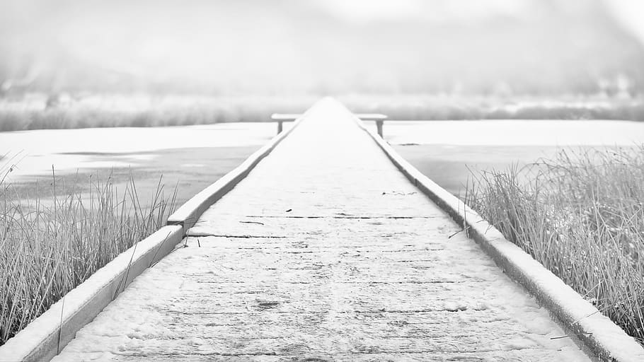 winter, web, lake, long gone, into the light, snow, ice, cold HD wallpaper