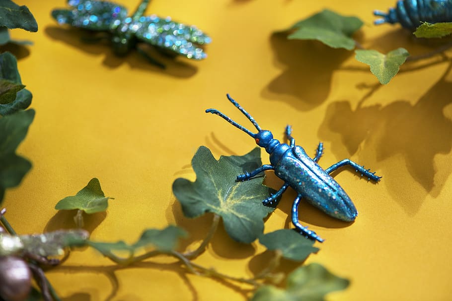 Black Beetle Decor on Yellow Surface With Green Leaves, animal HD wallpaper