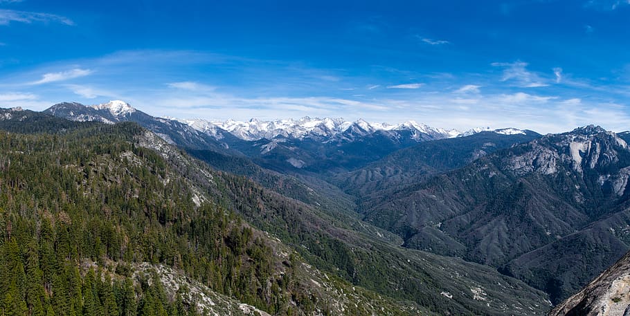 mountain, forest, snow, panorama, nature, landscape, trees HD wallpaper