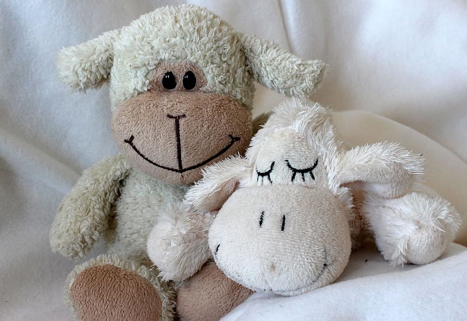 ted, teddy, bear, fig, figure, toy, stuffed, object, soft, stuffed toy HD wallpaper