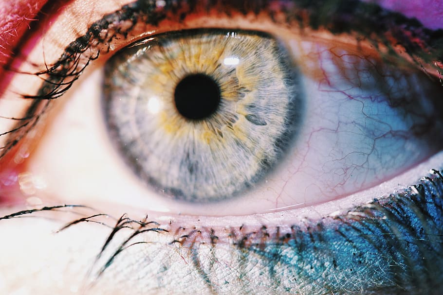 Human's Eye, art, beautiful, bright, close-up, color, eye lashes, HD wallpaper