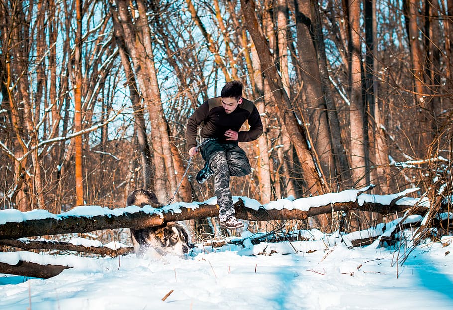 dog, winter, snow, running, forest, tree, boy, owner, man, walk HD wallpaper