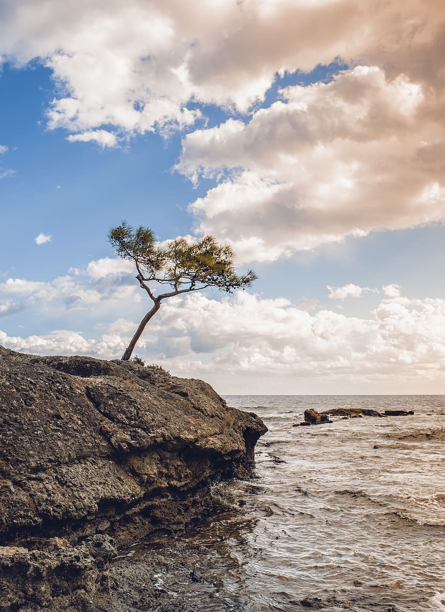 nature, tree, clouds, coast, rock, sky, blue, landscape, vertical HD wallpaper