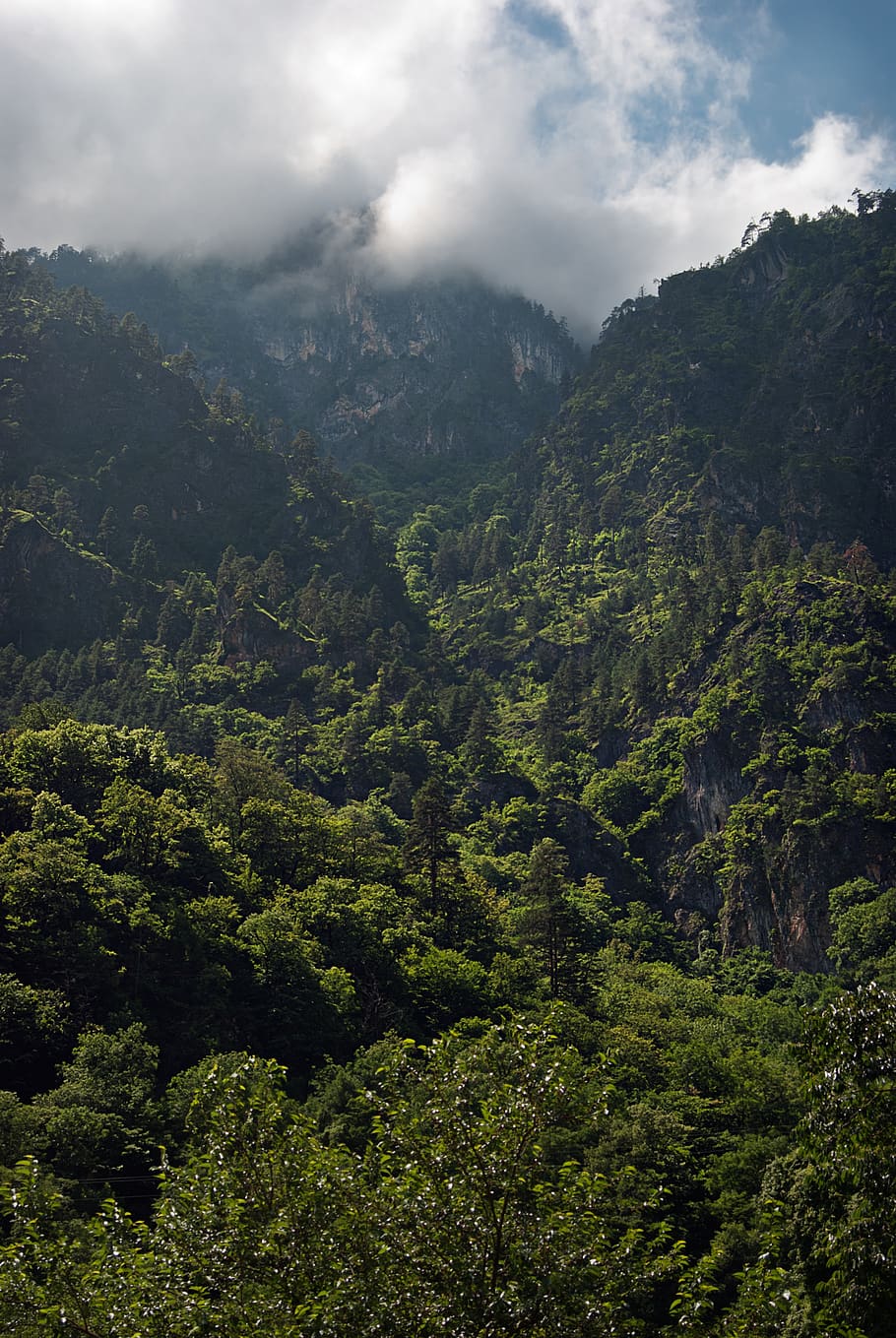 mountains, nature, landscape, clouds, forests, tree, scenics - nature HD wallpaper