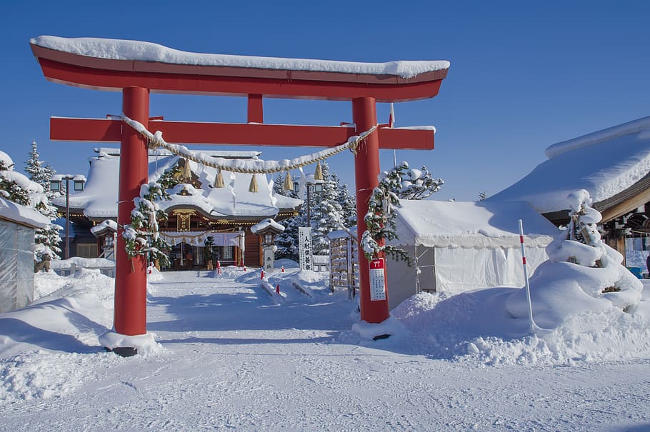 japan, hokkaido, winter, temple, religion, buddhism, snow, cold temperature, HD wallpaper
